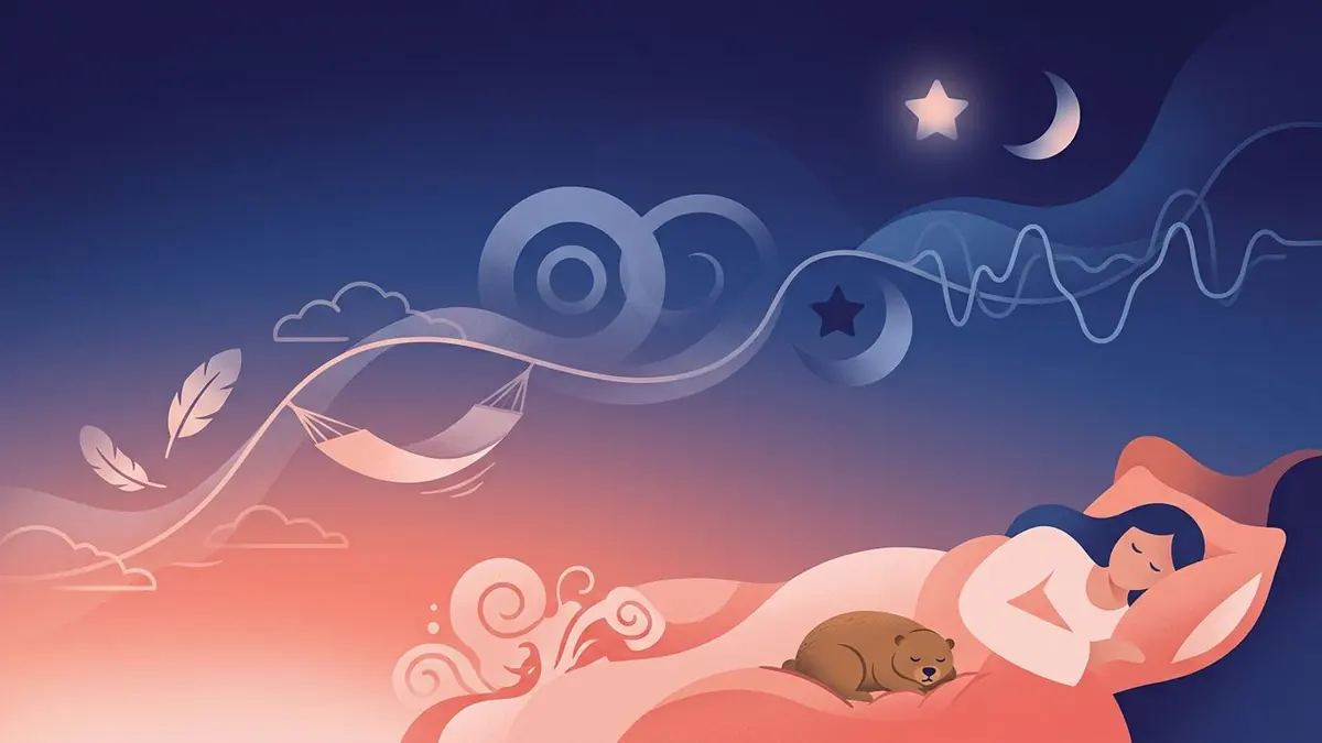 Les stades du sommeil