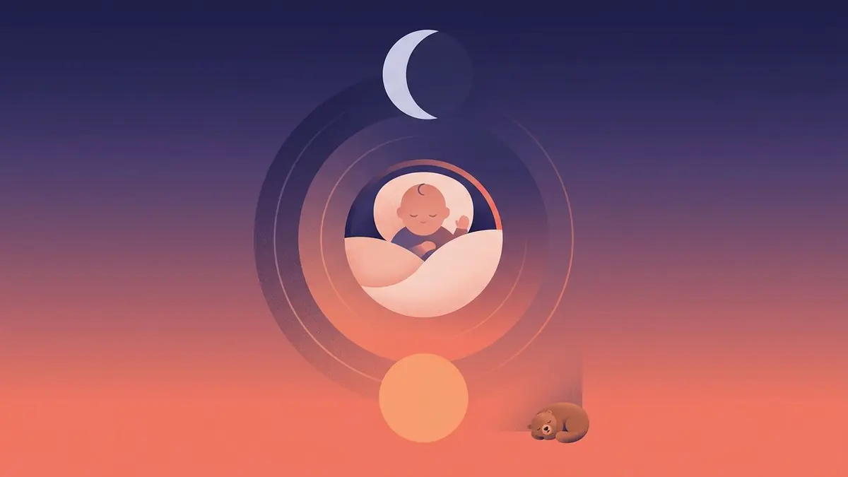 Le rythme de sommeil du nourrisson